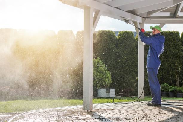 Best Roof Cleaning and Mildew Removal in Satsuma, AL